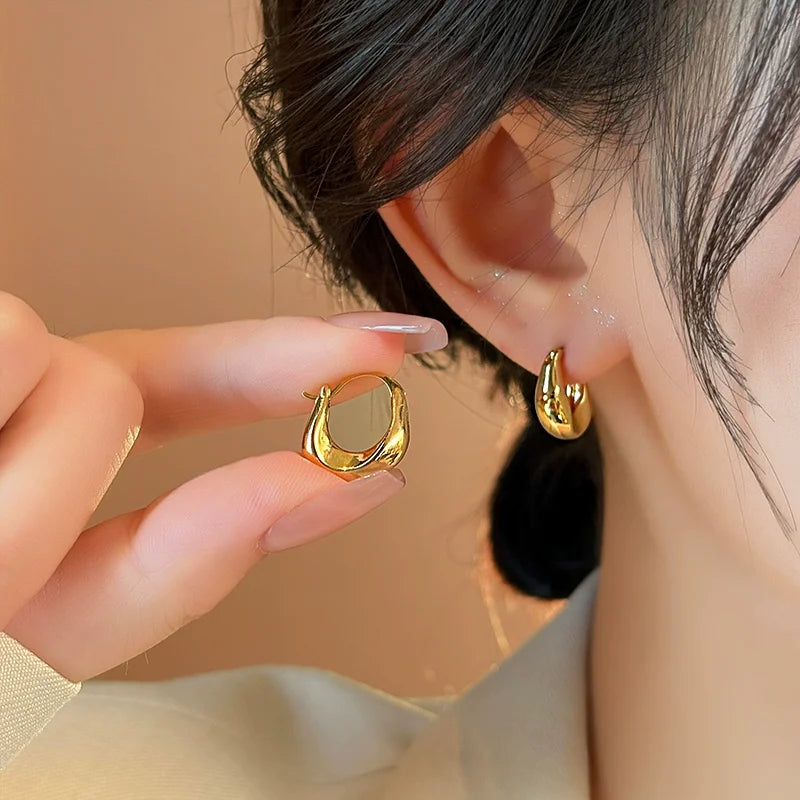 925 Sterling Silver Hoops Earrings