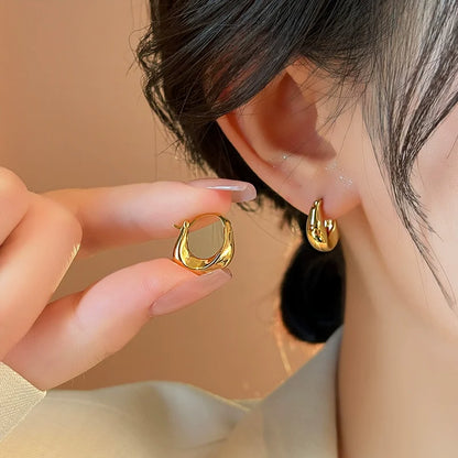 925 Sterling Silver Hoops Earrings