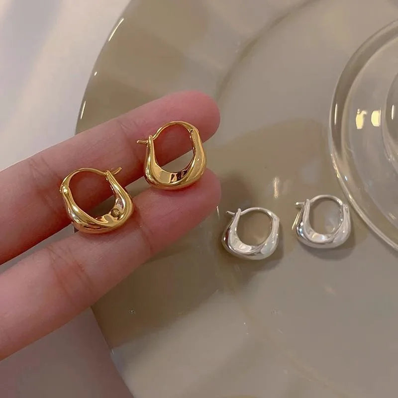 925 Sterling Silver Hoops Earrings